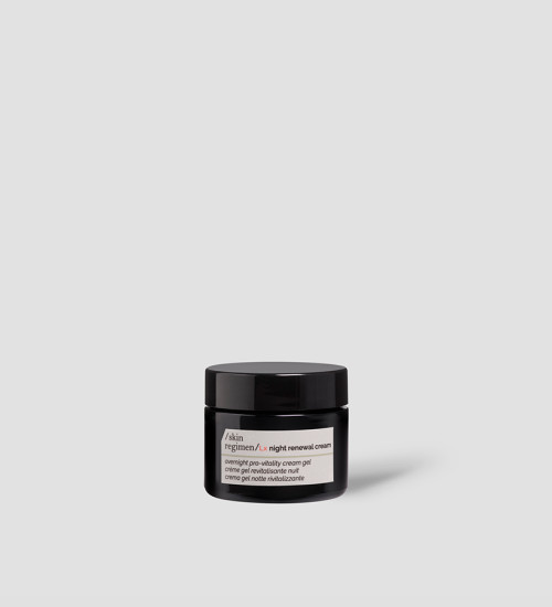 SKIN REGIMEN LX NIGHT RENEWAL CREAM - НІЧНИЙ КРЕМ-ГЕЛЬ ДЛЯ ВІДНОВЛЕННЯ ЖИТТЄВИХ СИЛ