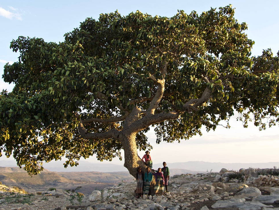 МІСІЯ ПРЕМІАЛЬНОЇ ПРОФЕСІЙНОЇ КОСМЕЦЕВТИКИ [ COMFORT ZONE ]