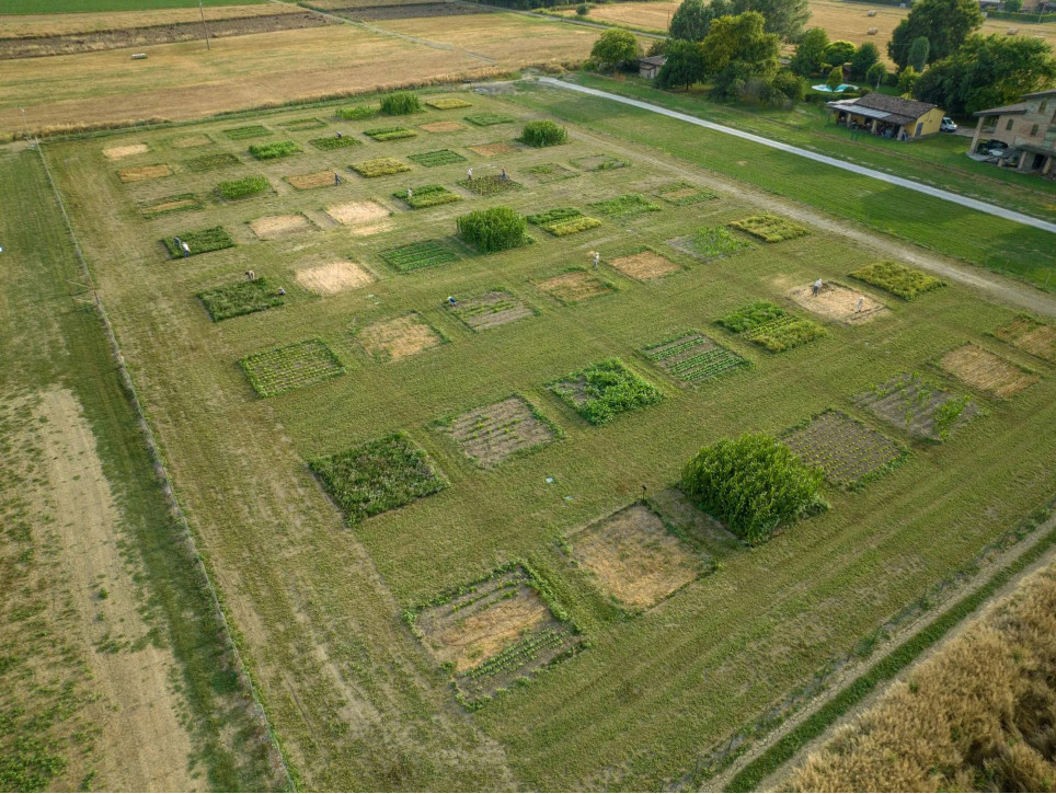 EROC – ЩЕ ОДНА СХОДИНКА НА ШЛЯХУ DAVINES GROUP ДО СТАЛОГО РОЗВИТКУ І ДОБРОБУТУ 