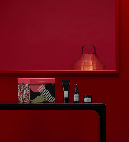 THE REGENERATION CITY KIT - НАБІР ДЛЯ НАПОВНЕННЯ ТА ПРУЖНОСТІ - 2