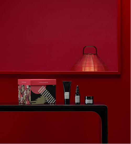 THE REGENERATION CITY KIT - НАБІР ДЛЯ НАПОВНЕННЯ ТА ПРУЖНОСТІ