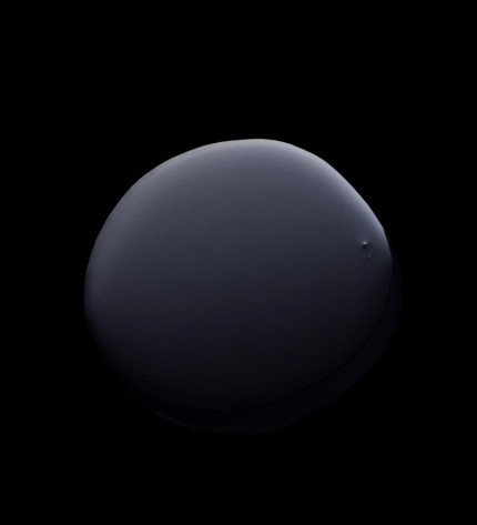 SKIN REGIMEN LX MICROALGAE ESSENCE - ЕСЕНЦІЯ З МІКРОВОДОРІСТЮ  - 2